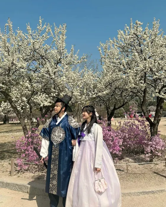 Khải và Phương mặc hanbok dưới tán hoa mùa xuân